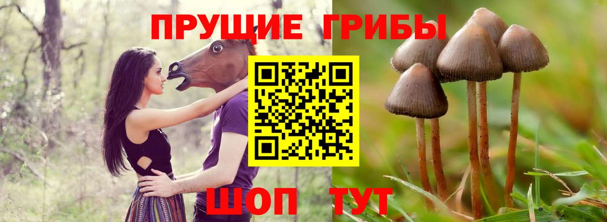 Ефремов  Галлюциногенные грибы Psilocybe  Вход с VPN  Галлюциногенные грибы GOLDEN TEACHER 